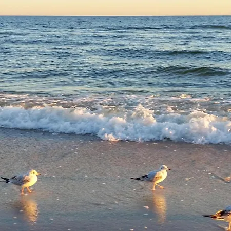 Lovely In With Sauna *